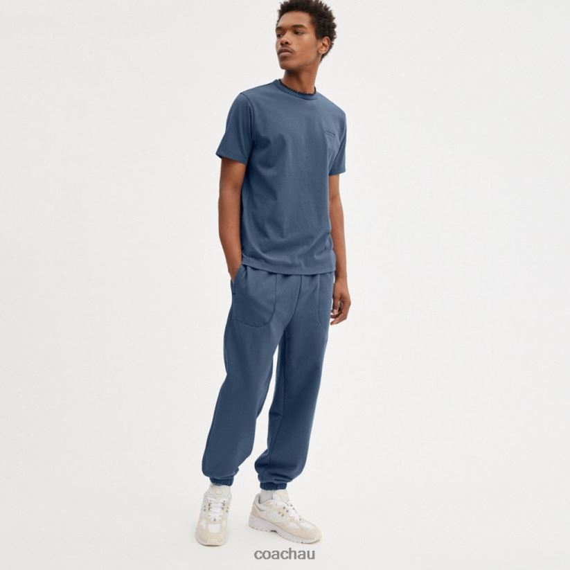 Coach Men ESSENTIAL T-SHIRT Blue. Z8JFB8782