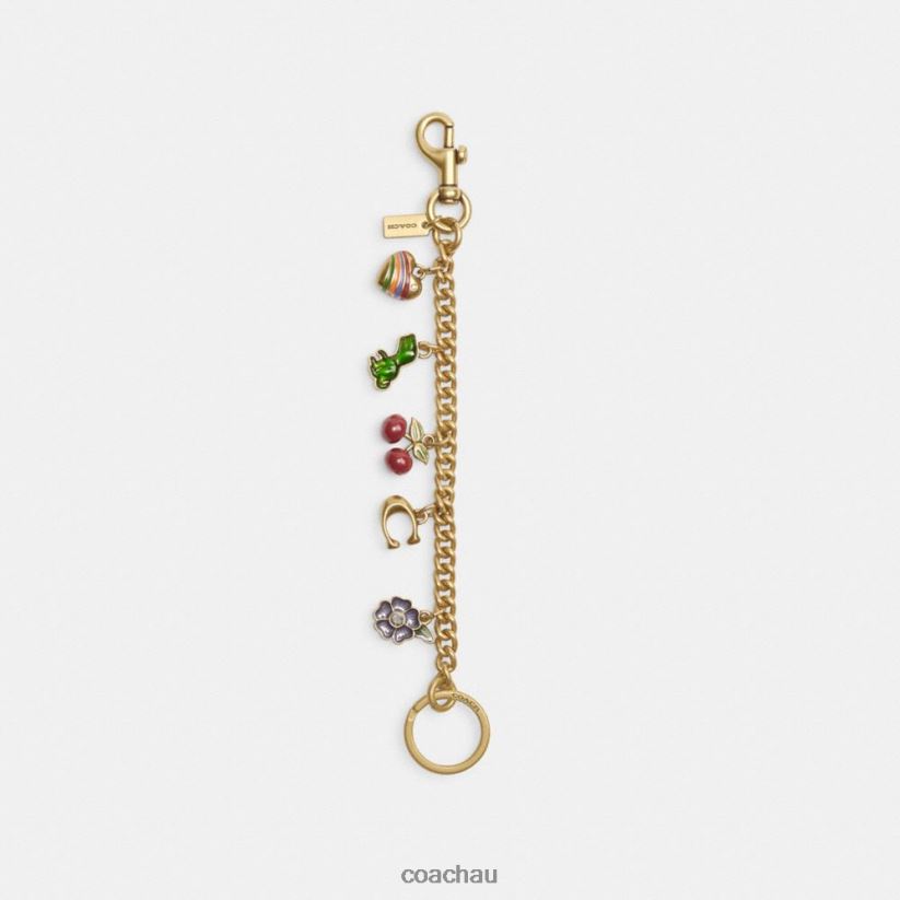 Coach Women MOTIF CHAIN BAG CHARM B4/Multi Z8JFB8525