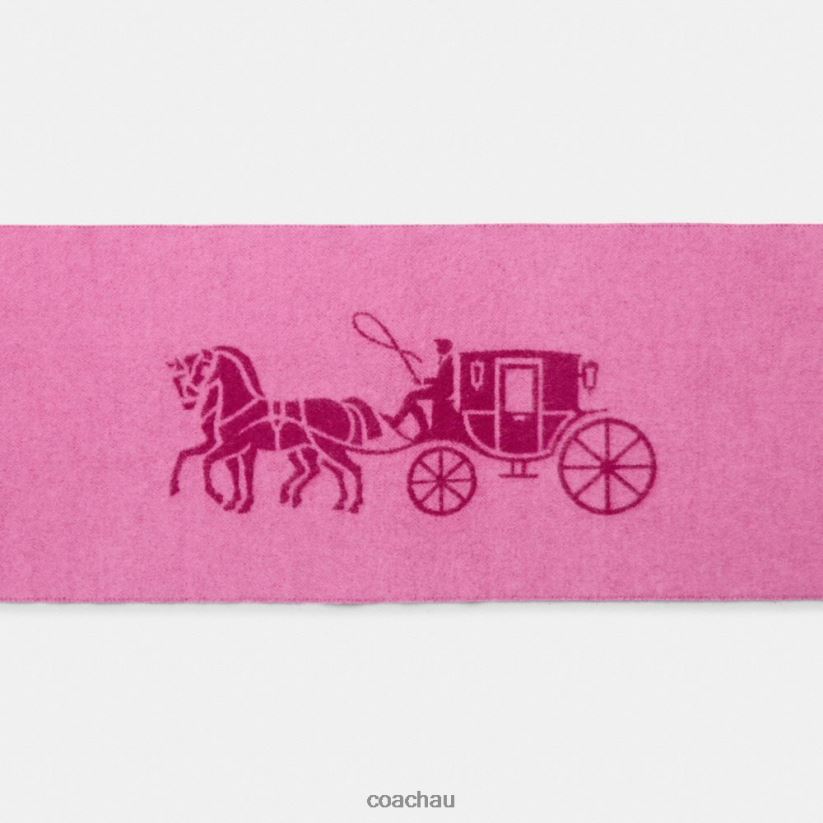 Coach Women HORSE AND CARRIAGE CASHMERE MUFFLER DEEP PLUM Z8JFB8575