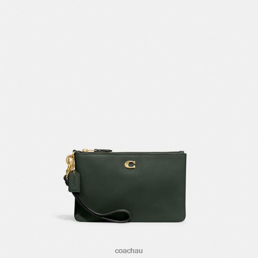 Coach Women SMALL WRISTLET B4/Amazon Green Z8JFB8363