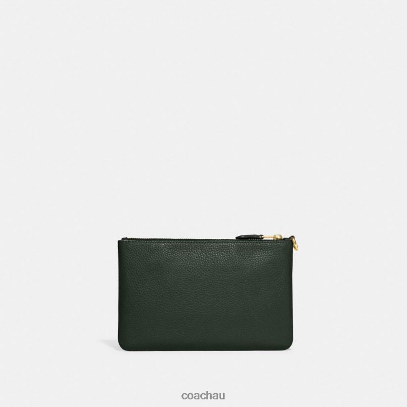 Coach Women SMALL WRISTLET B4/Amazon Green Z8JFB8363